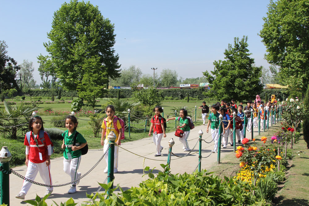 Class 1st and 2nd Picnic