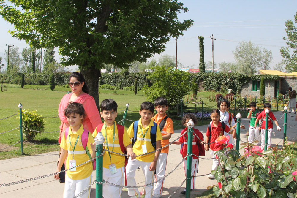 LKG and UKG Picnic