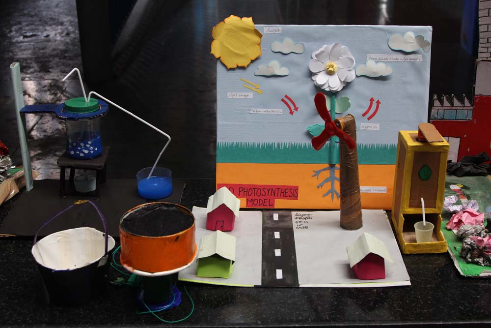 Science Exhibition Of Class 5th To 8th Delhi Public School DPS Srinagar