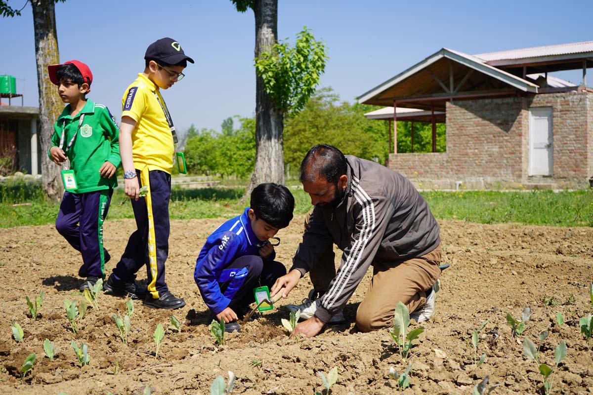 Nurturing Nature: A Hands-On Plantation Experience
