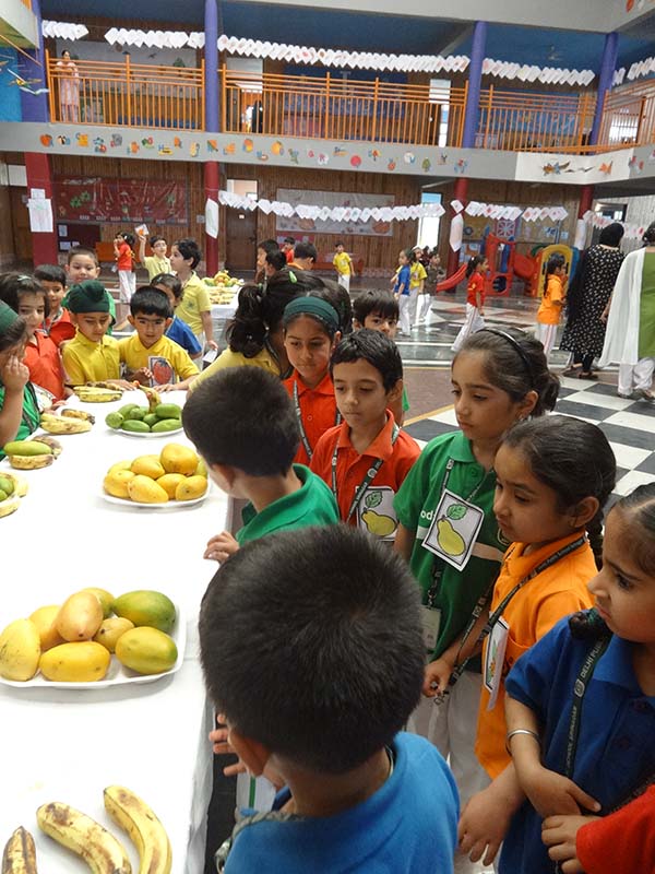 Celebration of Fruit and Vegetable Day